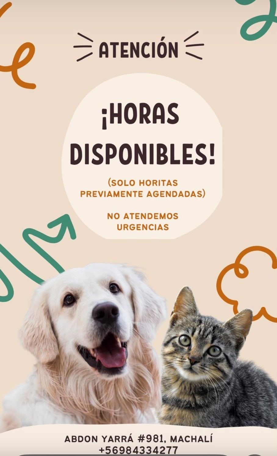 Horas disponibles Tribu Animal